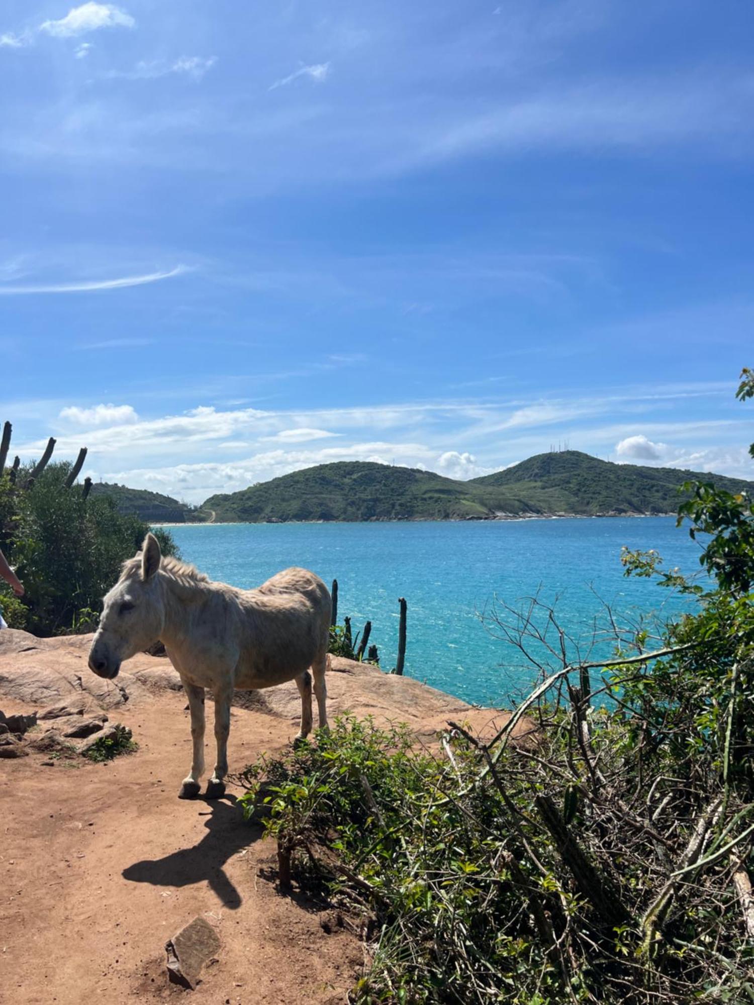 Estalagem Pe Na Areia Apartamento